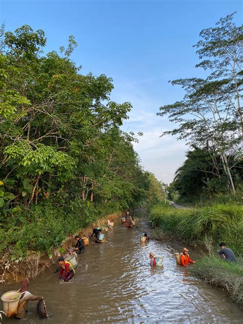 Ngaruhi Teknik Mencari Ikan Tradisional Suku Dayak K P Shk