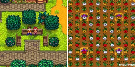 Ranking Every Honey Flavor In Stardew Valley