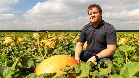 What S It Like To Be A Pumpkin Farmer Youtube