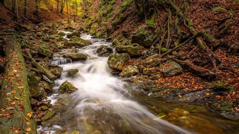 18 Essential Tips to Elevate Your Waterfall Photography - The Landscape ...