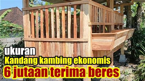 Ukuran Kandang Kambing Kelas Ekonomis Sederhana Untuk Pemula Youtube