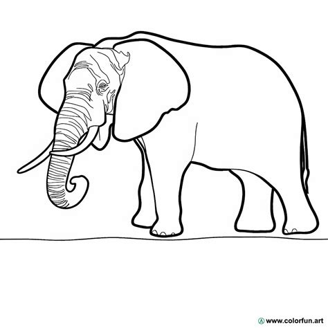 Disegno Da Colorare Di Un Elefante Selvaggio Scarica O Stampa Gratuitamente