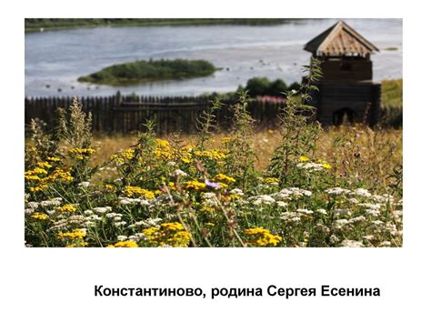 Тема Родины и природы в творчестве Сергея Есенина - презентация онлайн
