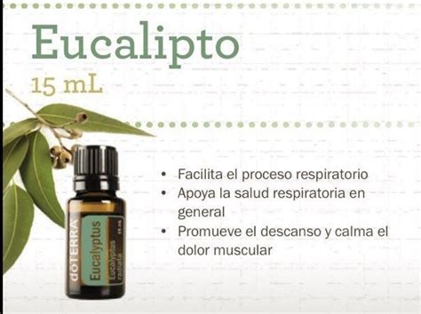 Aceite Esencial Eucalipto Doterra Frasco 15ml Eucalyptus Mercado Libre