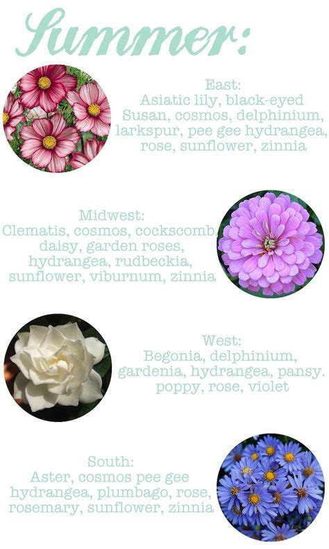 7 Seasonal Flowers By Month Ideas Seasonal Flowers Flowers Seasons