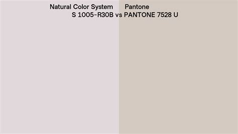 Natural Color System S 1005 R30B Vs Pantone 7528 U Side By Side Comparison