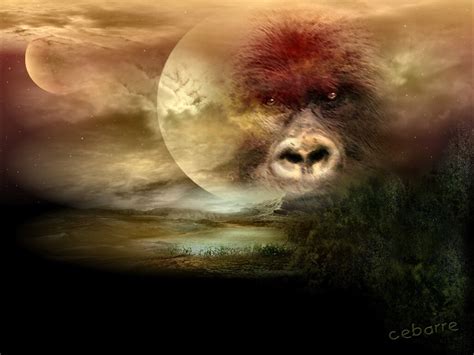 🔥 [50+] Gorilla Wallpapers and Screensavers | WallpaperSafari