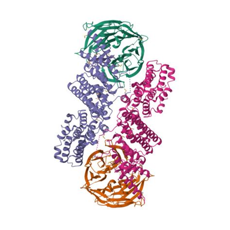 Rcsb Pdb 3f3p Crystal Structure Of The Nucleoporin Pair Nup85 Seh1