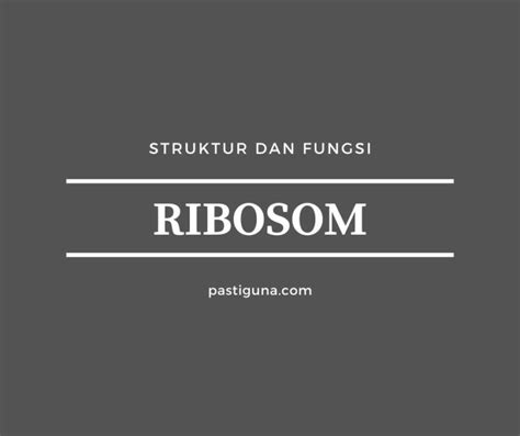 √ Apa Itu Ribosom Bentuk Gambar Struktur Dan Fungsi Ribosom