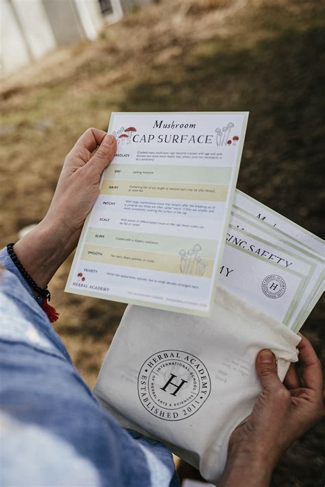 Mushroom Foraging Kit – Herbal Academy