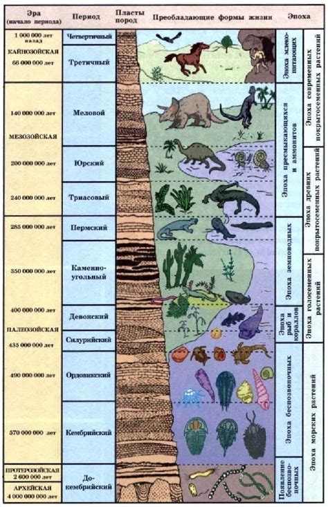 Геологическая история земли таблица Эволюция органического мира эры и