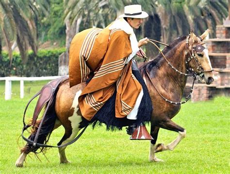 Fundaci N Kalinka En X El Chal N Peruano Heredero De La Tradici N De