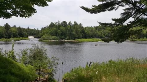 10 Best Hikes and Trails in Tahquamenon Falls State Park | AllTrails