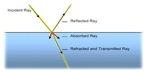 Consequences of the Absorption of Light - QS Study