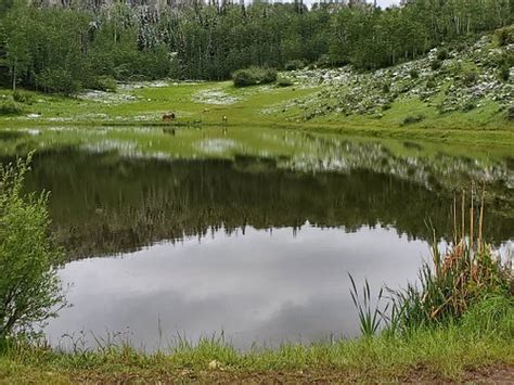 Ute Lodge Meeker Co Tarifs 2025 Mis à Jour Et Avis Camping