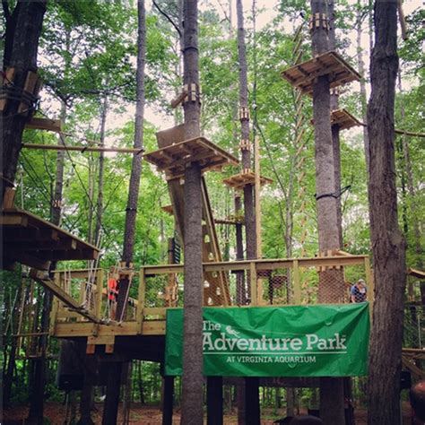 Albums 101 Pictures The Adventure Park At Nashville Photos Completed