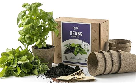 Best Indoor Herb Garden Kit Facts Net