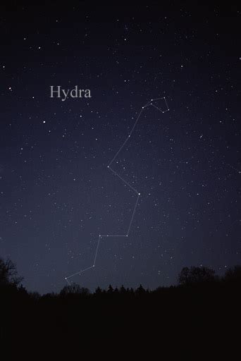 Hydra (constellation) | Greek Mythology Wiki | FANDOM powered by Wikia