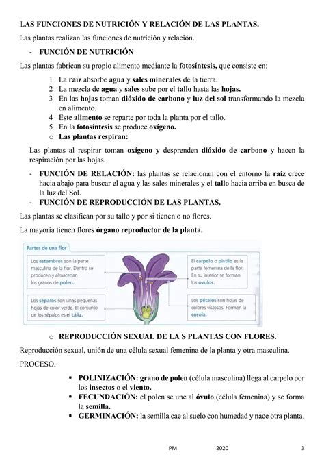 Tema Los Seres Vivos Resumen Esquema Pdf