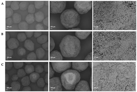 Pharmaceutics Special Issue Pharmaceutical Applications Of Hot Melt Extrusion