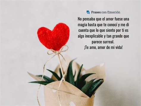 Descubrir Imagen Conocerte Frases De Amor Abzlocal Mx