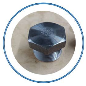 Asme B Plug And Cap Stainless Steel Threaded Socket Weld Plug