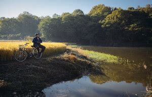 Игра в камешки фильм, 2020, дата выхода трейлеры актеры отзывы описание ...