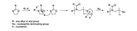 Schematic Representation Of The Mechanism Of The Cationic Ring Opening