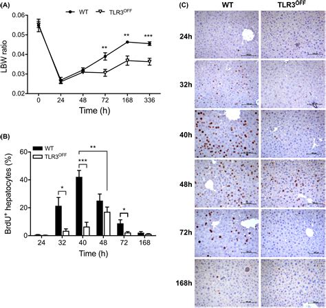 Tlr Promotes Hepatocyte Proliferation After Partial Hepatectomy By