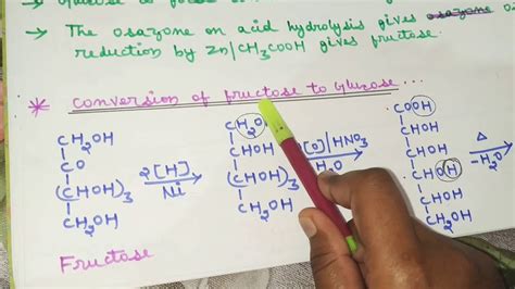 Conversion Of Fructose To Glucose YouTube