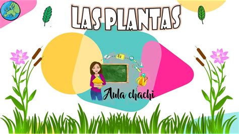 Las Plantas Aula Chachi V Deos Educativos Para Ni Os Youtube