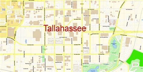 Tallahassee Map Vector Exact City Plan Florida Us Detailed Street Map Editable Adobe Illustrator