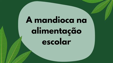 A mandioca na alimentação escolar Sustentarea