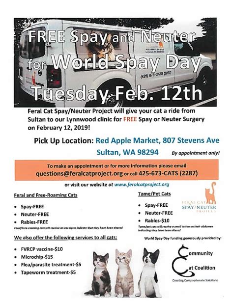 Solutions Cat Spay Neuter Clinic