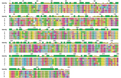 Multiple Sequence Alignment Of Template Tqy A With Selected