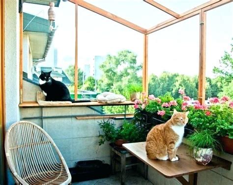 Balcony Catio Cat Patio Cat Proofing Cat Proof Balcony