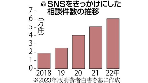 Snsきっかけのトラブル相談が過去最多6万件超、年代別では50代からが最多…消費者白書 読売新聞