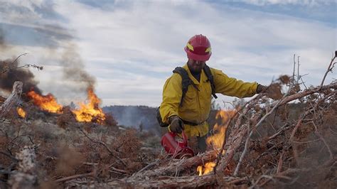 American Forest Fires The Untold Story Burn Down The Mission And