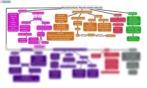 Solution Mapa Conceptual Neurotransmisores Studypool