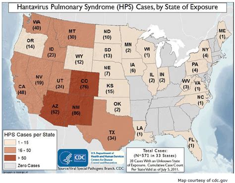 Hantavirus