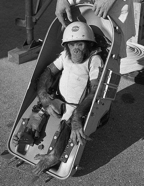 Jfk 50 Us Launched Chimp Into Space 52 Years Ago Today