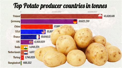 Top Largest Potato Producer Countries In The World Youtube