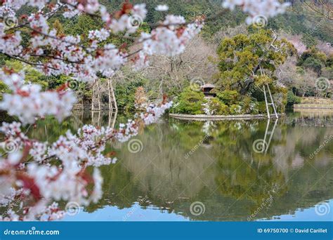 33,568 Zen Pond Garden Stock Photos - Free & Royalty-Free Stock Photos ...