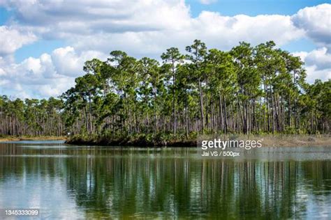 Lake Monroe (Florida) Photos and Premium High Res Pictures - Getty Images