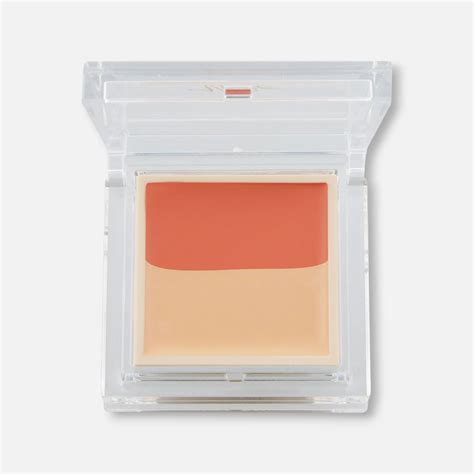 Kose Visee Color Duo Trick Concealer 2.5g (Various Types) – Buy Me Japan