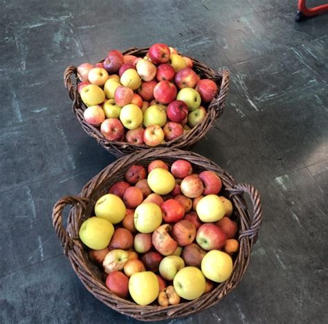 Du Jus De Pomme L Cole Ecole Primaire Publique Du Bois De La Dame