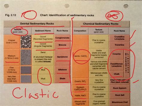 Sedimentary Rock Classification Science Geology Showme