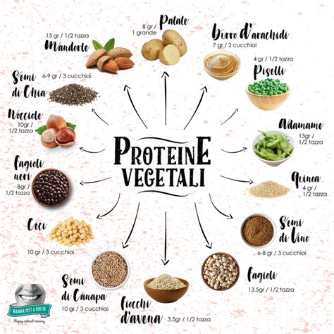 Le Migliori Fonti Vegetali Di Proteine Artofit