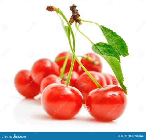 Fresh Red Cherries With Green Leaves Stock Image Image Of Food Fruit