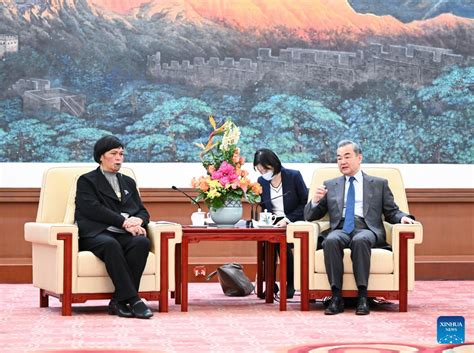 Senior Chinese Diplomat Meets With New Zealand Fm People S Daily Online